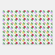 Beautiful and Colorful Roses