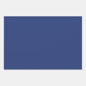 Feuille De Papier Cadeau Beauty Lined Speckle Blue (Devant 2)