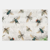 Feuille De Papier Cadeau Bee Honey Travailleur Queen Bees Antique (Devant)