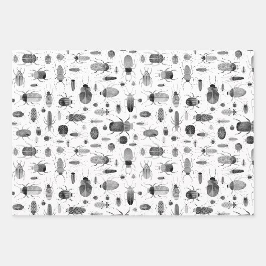 Feuille De Papier Cadeau Beetle noir et blanc (Devant 3)