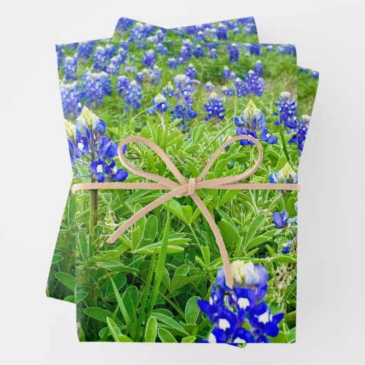 Feuille De Papier Cadeau Belle Bluebonnets Texas Photographie (En situation)
