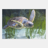 Feuille De Papier Cadeau Belle natation de tortue marine (Devant 3)