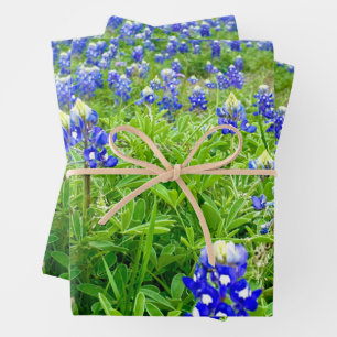 Feuille De Papier Cadeau Belles Lupines Texas Photographie