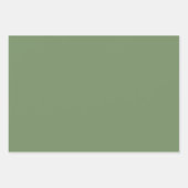 Feuille De Papier Cadeau Berry Red Green Birthday (Devant 2)