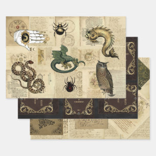Feuille De Papier Cadeau Bêtes magiques Dragon personnalisables Grimoire