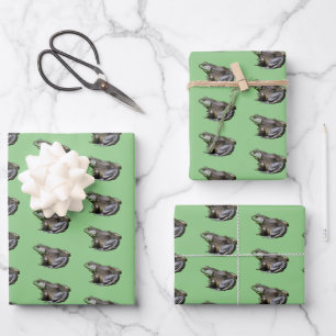Feuille De Papier Cadeau Big Old Bullfrog Animal Nature