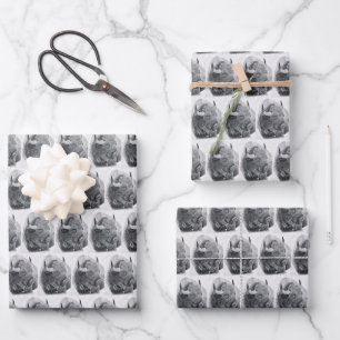 Feuille De Papier Cadeau Bison d'Amérique