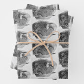 Feuille De Papier Cadeau Bison d'Amérique (En situation)