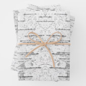 Feuille De Papier Cadeau Blanc, comme dans Birch Bark Photo (En situation)