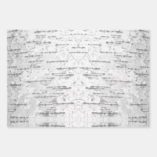 Feuille De Papier Cadeau Blanc, comme dans Birch Bark Photo