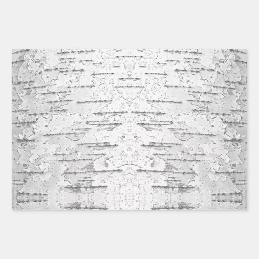 Feuille De Papier Cadeau Blanc, comme dans Birch Bark Photo (Devant)