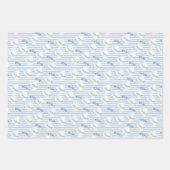 Feuille De Papier Cadeau Bleu blanc Fleur Eucalyptus raypes (Devant)
