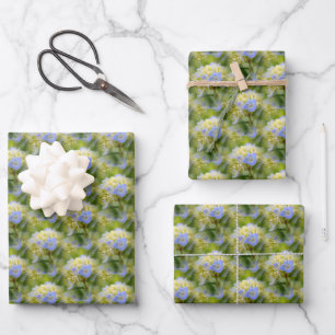 Feuille De Papier Cadeau Bleu doux Hydrangea Fleur Motif Nature  