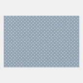 Feuille De Papier Cadeau Bleu Dusté & Blancs Polka Dot Chevron (Devant 2)