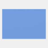 Feuille De Papier Cadeau bleu indigo clair solide (Devant)