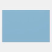 Feuille De Papier Cadeau Bleu pâle et mat (Devant 2)