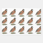 Feuille De Papier Cadeau Bobwhite Quail Rooster (Devant 2)