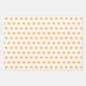 Feuille De Papier Cadeau Bohemian Desert Rainbow et Sun Motifs (Devant 2)