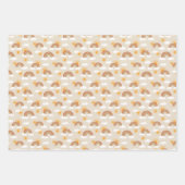 Feuille De Papier Cadeau Bohemian Desert Rainbow et Sun Motifs (Devant)