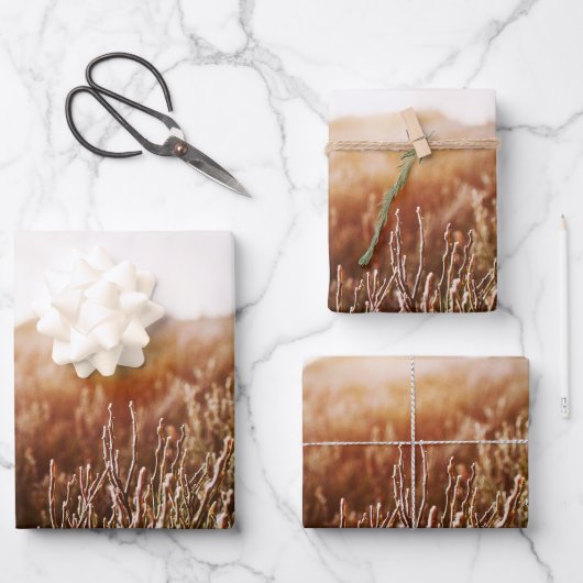 Feuille De Papier Cadeau Boho Grass Field Photo Don (Recto)