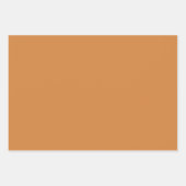 Feuille De Papier Cadeau Boho Pastel Terracotta Coquillage rose Coquillage (Devant 3)