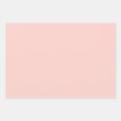 Feuille De Papier Cadeau Boho Pastel Terracotta Coquillage rose Coquillage (Devant 2)