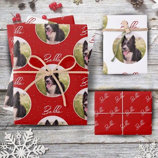 Feuille De Papier Cadeau Bordure Collie Chien Photo Script tendance Nom de