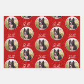 Feuille De Papier Cadeau Bordure Collie Chien Photo Script tendance Nom de (Devant)