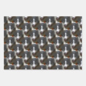 Feuille De Papier Cadeau Bordure Collie Stare Chien Motif (Devant 2)