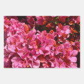 Feuille De Papier Cadeau Bougainvillea Arbuste de vinification rose tropica (Devant 2)
