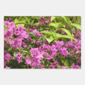 Feuille De Papier Cadeau Bougainvillées tropicales violettes (Devant 2)