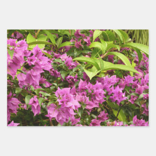 Feuille De Papier Cadeau Bougainvillées tropicales violettes
