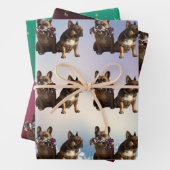 Feuille De Papier Cadeau Bouledogue français deux amis (En situation)