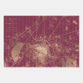 Feuille De Papier Cadeau Bourgogne et Gold Paris (Devant 3)