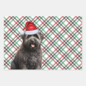 Feuille De Papier Cadeau Bouvier Chien de Noël Rouge et Vert Plaid (Devant 3)