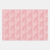 Feuille De Papier Cadeau Branches généreuses Rouge et blanc Photo Noël (Devant)