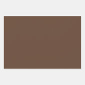 Feuille De Papier Cadeau Brown (Devant)