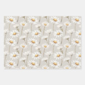 Feuille De Papier Cadeau Brown Cream Green Stripes Daisies Birthday (Devant 2)