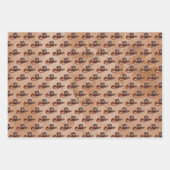 Feuille De Papier Cadeau Brown occidental (Devant 3)