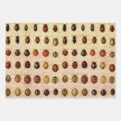 Feuille De Papier Cadeau Bug d'insectes coccinelle de coccinelle (Devant 2)