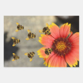 Feuille De Papier Cadeau Bumblebees et Gaillardia Fleurs Orange (Devant)