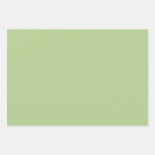 Feuille De Papier Cadeau Cactus et Succulent Wonderland (Devant 2)