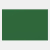 Feuille De Papier Cadeau Cadeau de vacances Red and Forest Green and White (Devant 2)