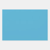 Feuille De Papier Cadeau Cadeau été Orange Grove (Devant 2)