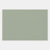 Feuille De Papier Cadeau Cadeau végétal vert Sage blanc (Devant 3)