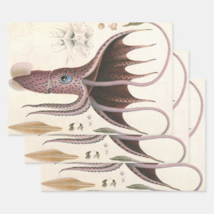 Feuille De Papier Cadeau Calmar Parasol, Animaux Marins Vintage