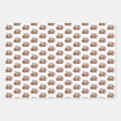 Feuille De Papier Cadeau Camel de Noël (Devant)