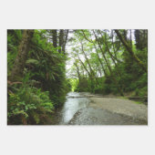 Feuille De Papier Cadeau Canyon Fern I au Parc national de Redwood (Devant 3)