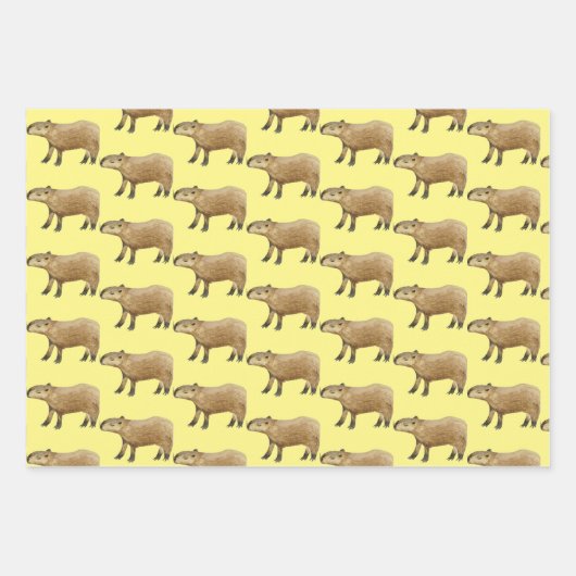 Feuille De Papier Cadeau Capybara (Devant 3)
