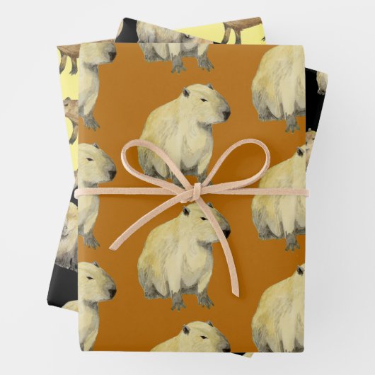 Feuille De Papier Cadeau Capybara (En situation)
